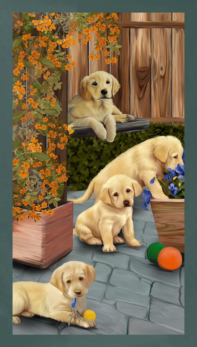 Sciarpa Cashmere Stampata Cuccioli di Labrador