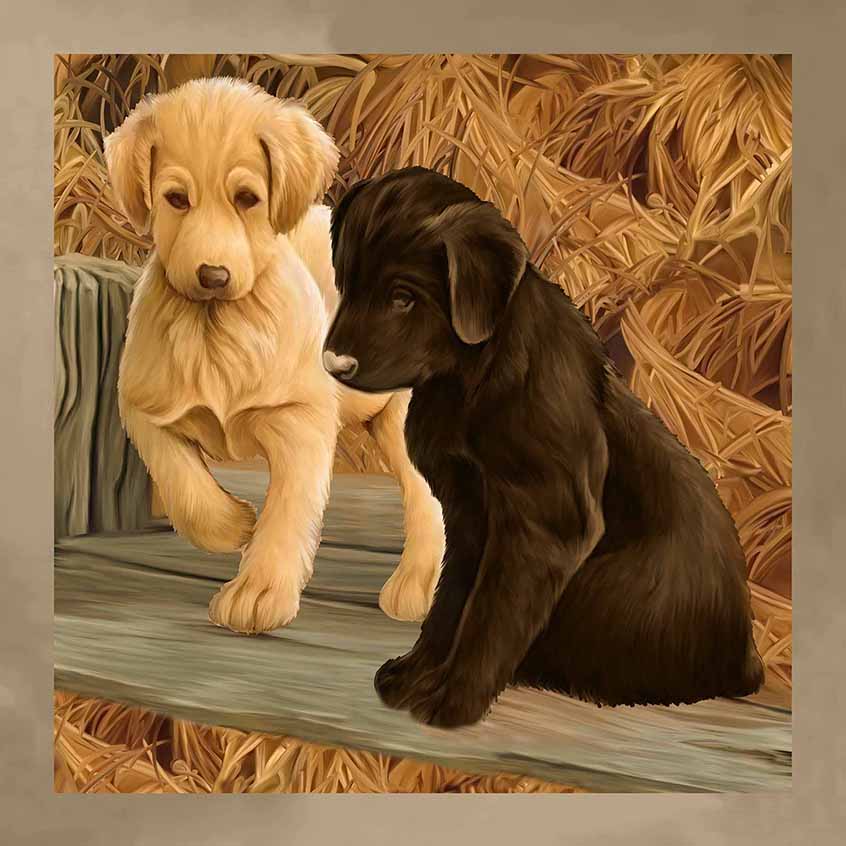 Pochette seta stampata soggetto labrador